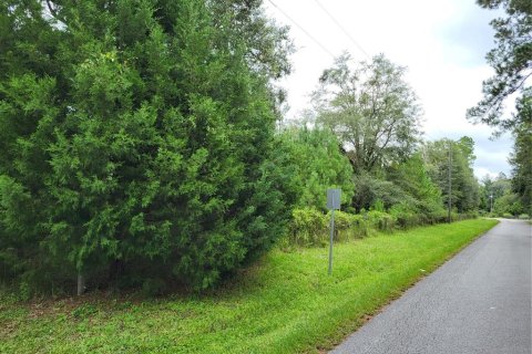 Land in Lake Butler, Florida № 1363130 - photo 1