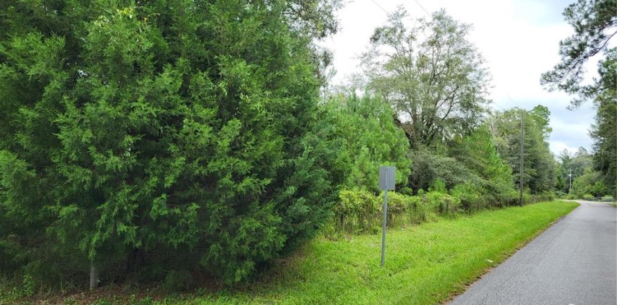 Terreno en Lake Butler, Florida № 1363130