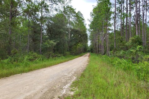 Land in Lake Butler, Florida № 1363129 - photo 2