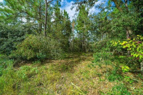 Terreno en venta en Dade City, Florida № 1403693 - foto 26