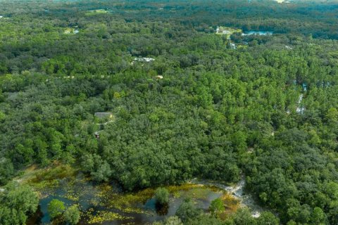 Terreno en venta en Dade City, Florida № 1403693 - foto 20