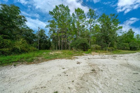 Terreno en venta en Dade City, Florida № 1403693 - foto 1