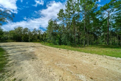 Terreno en venta en Dade City, Florida № 1403693 - foto 24