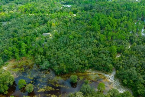 Terreno en venta en Dade City, Florida № 1403693 - foto 8