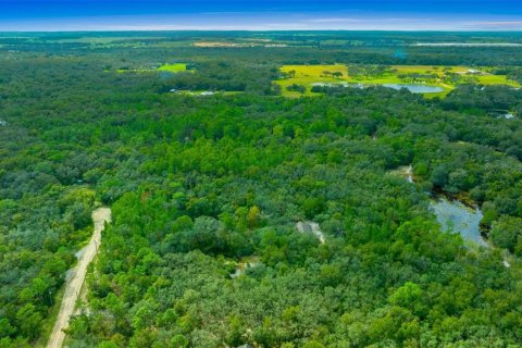 Terreno en venta en Dade City, Florida № 1403693 - foto 5