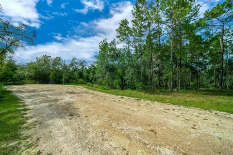 Terreno en venta en Dade City, Florida № 1403693 - foto 23