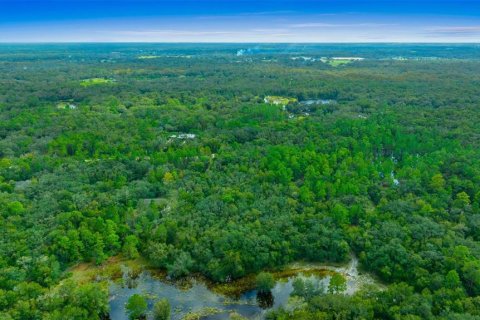 Terreno en venta en Dade City, Florida № 1403693 - foto 4