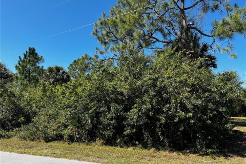 Land in Port Charlotte, Florida № 215679 - photo 3