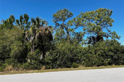 Land in Port Charlotte, Florida № 215679 - photo 2