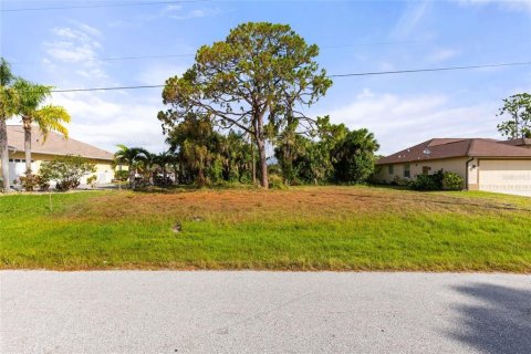 Terreno en venta en Rotonda, Florida № 1243251 - foto 13