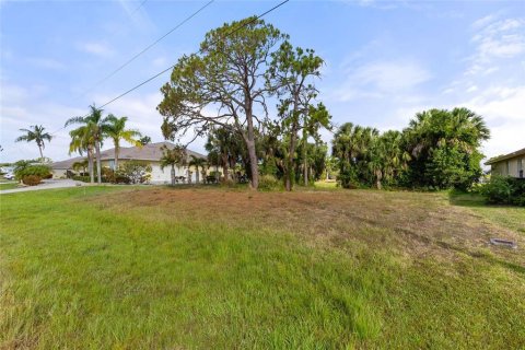 Land in Rotonda, Florida № 1243251 - photo 16