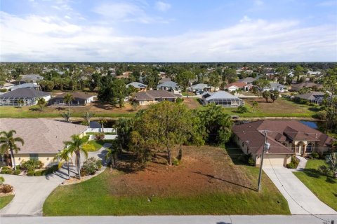 Land in Rotonda, Florida № 1243251 - photo 2