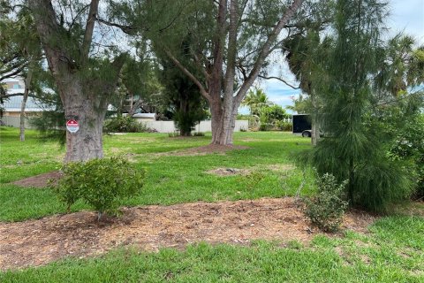 Terreno en venta en Englewood, Florida № 1249265 - foto 7