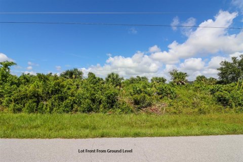 Terreno en venta en Port Charlotte, Florida № 1382493 - foto 7