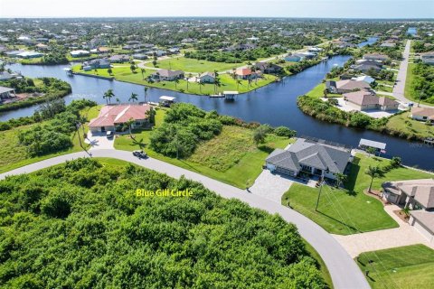 Terreno en venta en Port Charlotte, Florida № 1382493 - foto 3