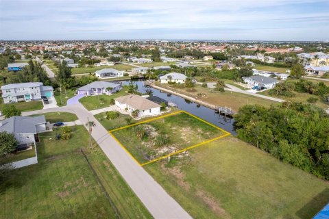 Terrain à vendre à Punta Gorda, Floride № 864261 - photo 6