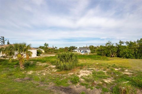 Terrain à vendre à Punta Gorda, Floride № 864261 - photo 4