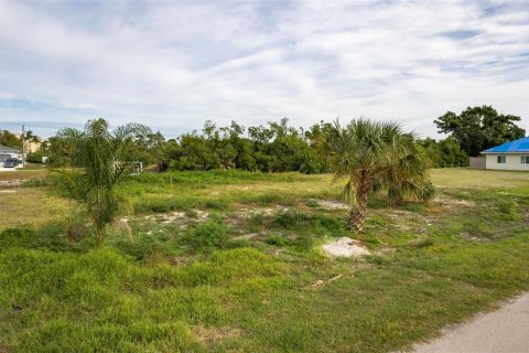 Terrain à vendre à Punta Gorda, Floride № 864261 - photo 5