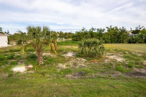 Terrain à vendre à Punta Gorda, Floride № 864261 - photo 10