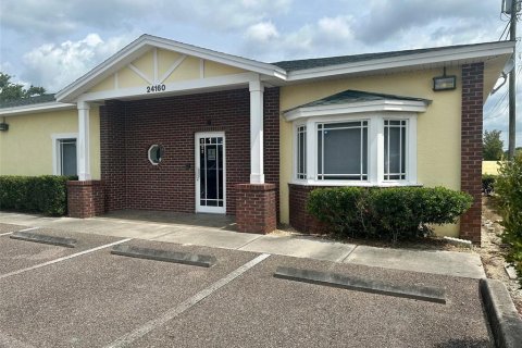 Immobilier commercial à vendre à Lutz, Floride: 150.5 m2 № 1249688 - photo 1