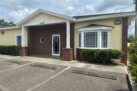 Immobilier commercial à vendre à Lutz, Floride: 150.5 m2 № 1249688 - photo 2