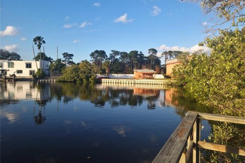 Copropriété à louer à Palm Harbor, Floride: 1 chambre, 60.39 m2 № 1370189 - photo 17