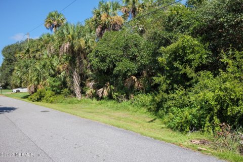 Купить земельный участок в Палм-Кост, Флорида № 769946 - фото 14