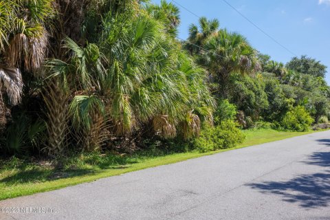 Terrain à vendre à Palm Coast, Floride № 769946 - photo 15