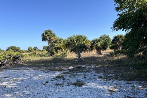 Terreno en venta en Okeechobee, Florida № 1141331 - foto 12