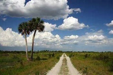 Terreno en venta en Okeechobee, Florida № 1141331 - foto 3