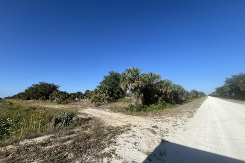 Terreno en venta en Okeechobee, Florida № 1141331 - foto 20