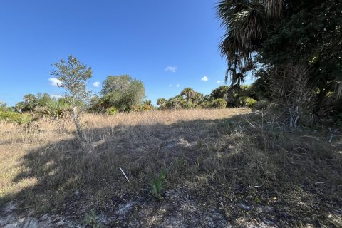 Land in Okeechobee, Florida № 1141331 - photo 7