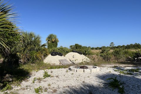 Land in Okeechobee, Florida № 1141331 - photo 11