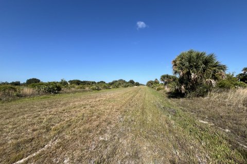 Land in Okeechobee, Florida № 1141331 - photo 1