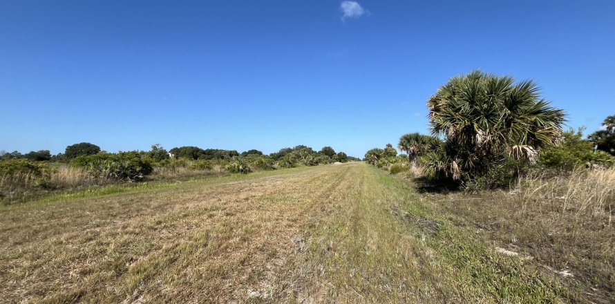 Terreno en Okeechobee, Florida № 1141331