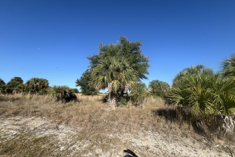 Terreno en venta en Okeechobee, Florida № 1141331 - foto 17