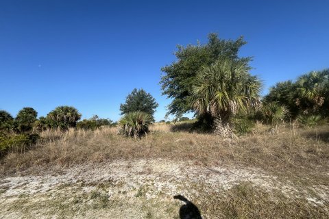 Terreno en venta en Okeechobee, Florida № 1141331 - foto 16