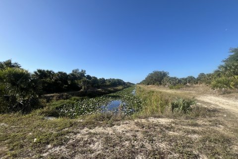 Land in Okeechobee, Florida № 1141331 - photo 18