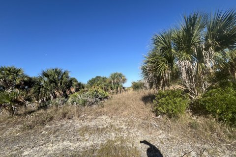 Terreno en venta en Okeechobee, Florida № 1141331 - foto 15