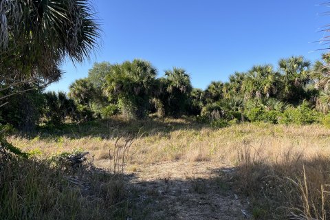 Land in Okeechobee, Florida № 1141331 - photo 10