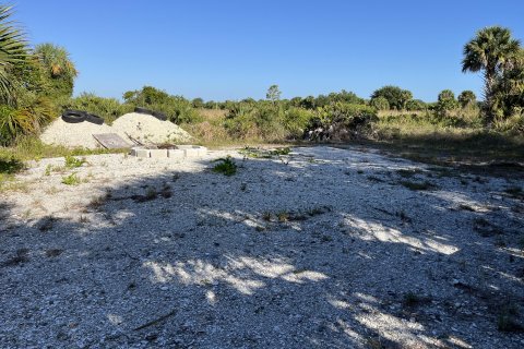 Land in Okeechobee, Florida № 1141331 - photo 13