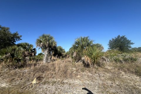 Terreno en venta en Okeechobee, Florida № 1141331 - foto 14