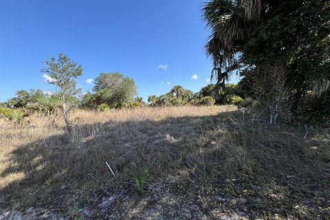 Terreno en venta en Okeechobee, Florida № 1141331 - foto 8