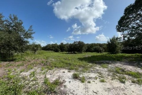 Land in Okeechobee, Florida № 669321 - photo 5