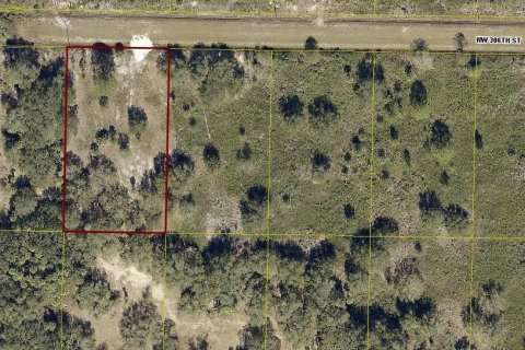 Land in Okeechobee, Florida № 669321 - photo 9