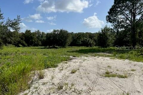 Land in Okeechobee, Florida № 669321 - photo 2