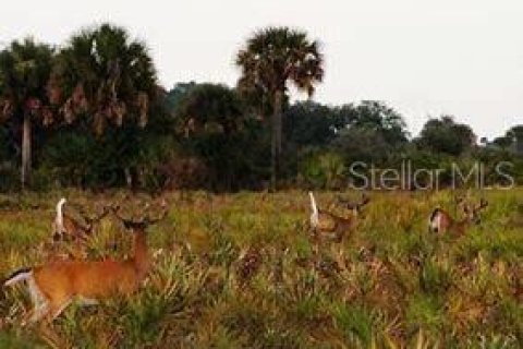 Land in Okeechobee, Florida № 669321 - photo 15