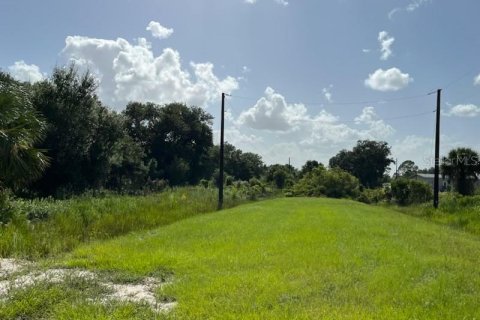 Land in Okeechobee, Florida № 669321 - photo 3