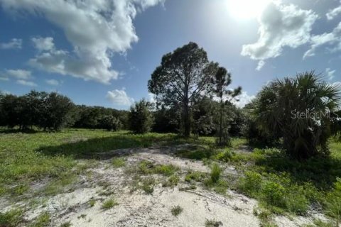 Land in Okeechobee, Florida № 669321 - photo 7