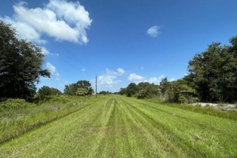 Land in Okeechobee, Florida № 669321 - photo 8